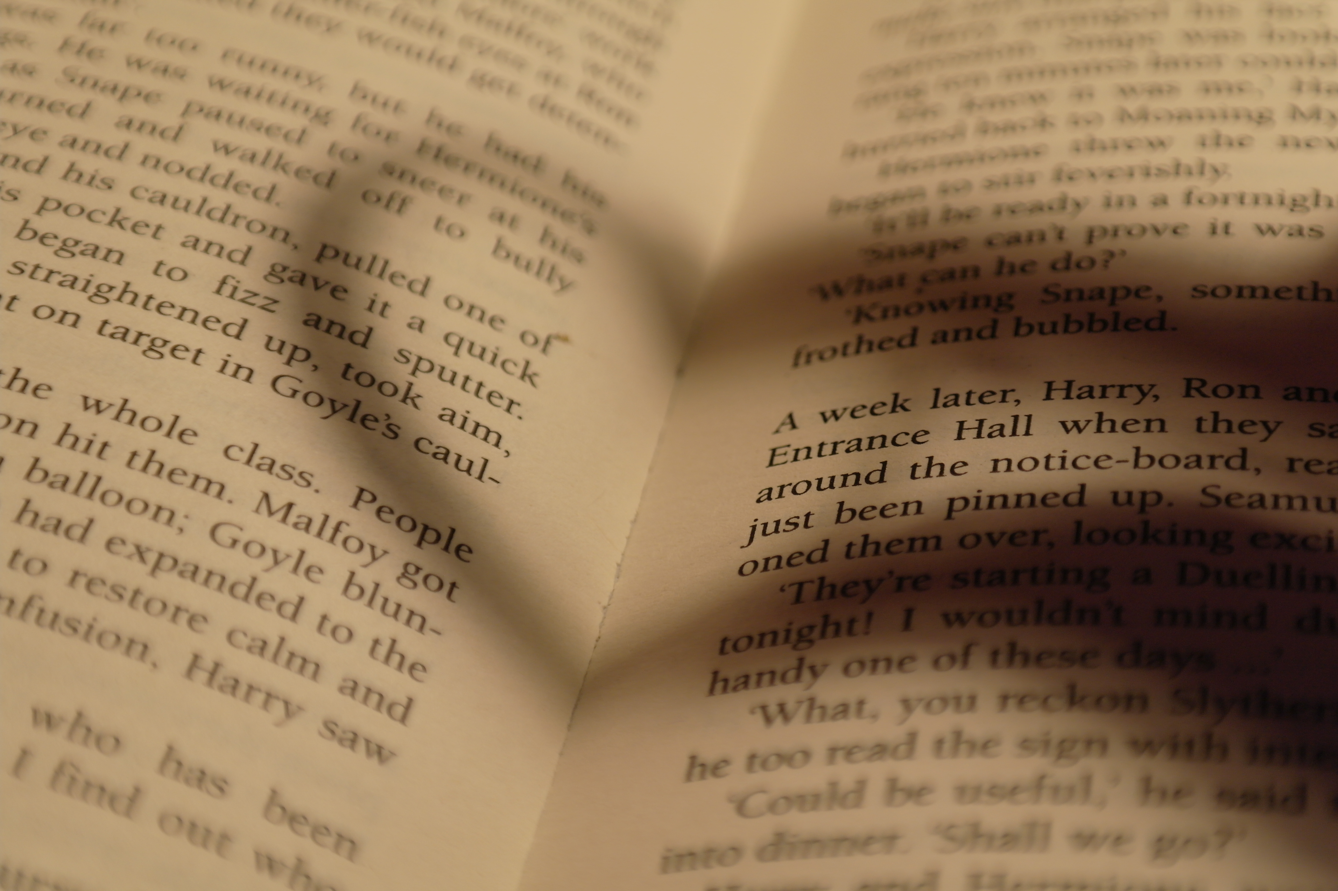 5585498145_0f49d5f34d_o